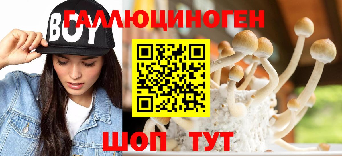 Усть-Кут  Галлюциногенные грибы прущие грибы  как найти закладки  Вход с VPN  Псилоцибиновые грибы GOLDEN TEACHER 