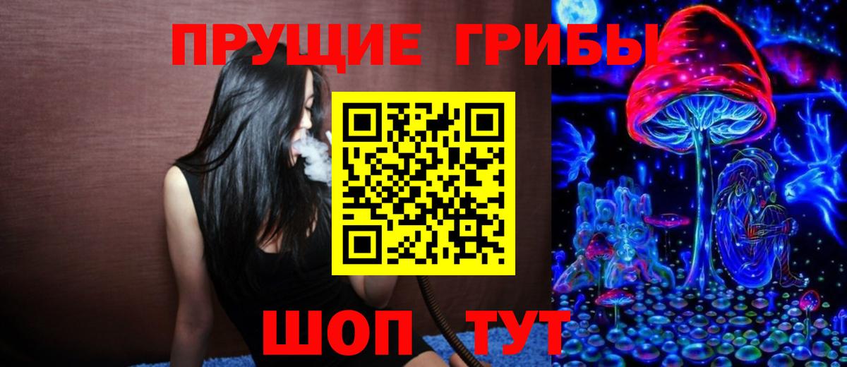 Галлюциногенные грибы Cubensis Усть-Кут